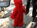 Elmo Dancing