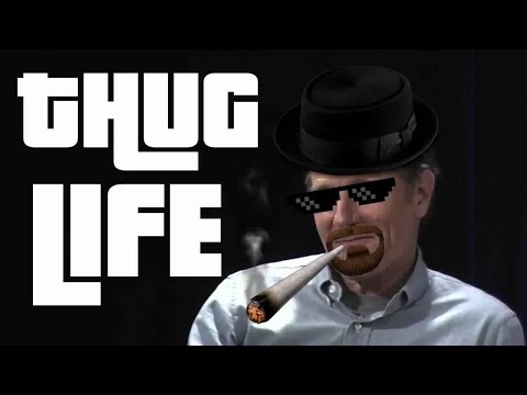 Albuquerque guy gets OWNED by Bryan Cranston HD