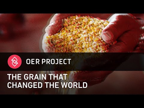 Corn! How Maize Changed the World