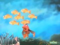 Sesame Street A Fish Outta Water