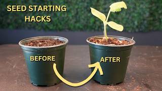 Seed Starting | How to, Tips, Tricks, and Hacks