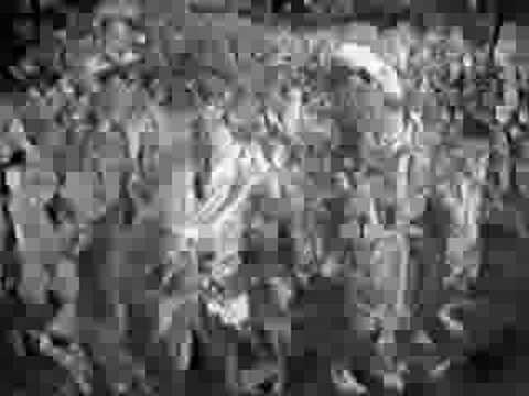 Unidos da Tijuca 1981