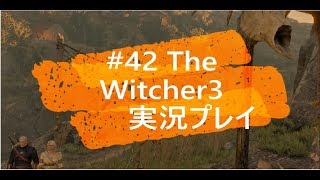 #42 The Witcher3 Game Play
