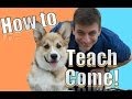 Come when Called: The FASTEST Way to Teach ...