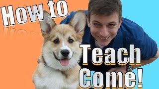 Come when Called: The FASTEST Way to Teach YOUR DOG to COME WHEN CALLED ANYWHERE!