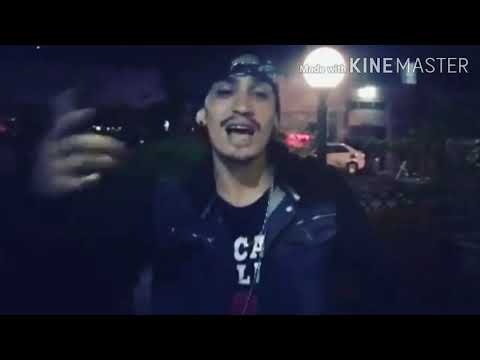 Pikinês - Pra Quem Desacreditou