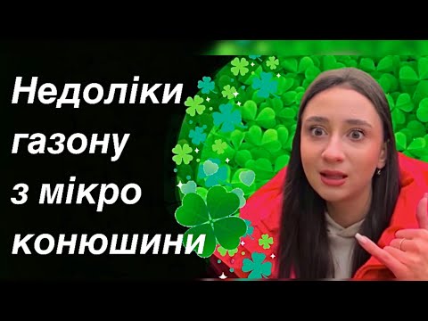 Газон для Собак Догги а также дача футбол сад стадион база озеленение - фото 1 - id-p673538249