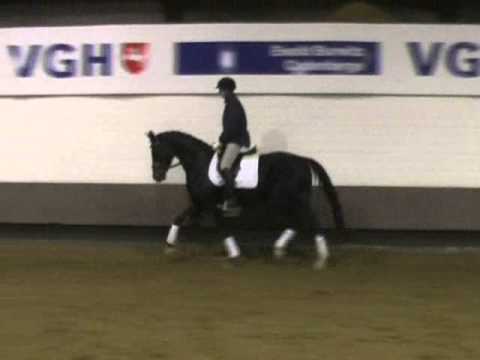 Kat. 23, Lady von Locksley II - Verkaufstag auf dem Dobrock 17. Mai 2014