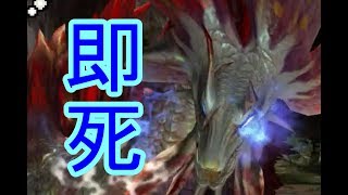 [MHXX  実況]超特タマミツネ！初見で挑んだらこうなった・・・