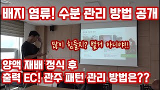 딸기 정식 후 출력EC 그리고 물주기 방법은??? 이거 하나로 …