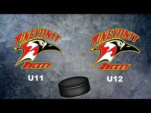 Pirkkalan Pingviinit U11 Vs. U12