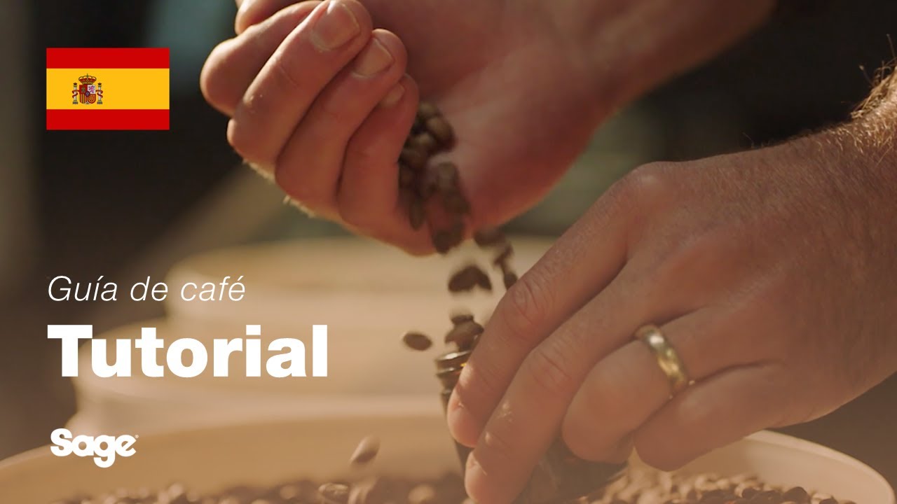 Elegir los granos de café adecuados