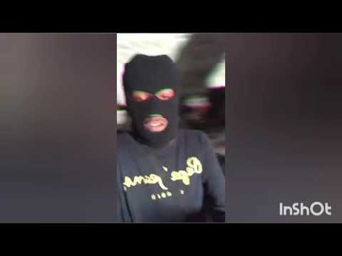 BazaLenha49 x Chapa49 x Comprido49 - ROTINA 2019