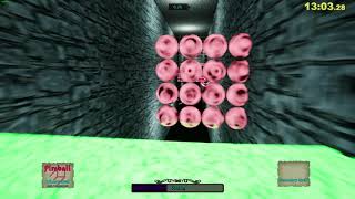 Runic Relay: The Trials any% Speedrun 30:20.94