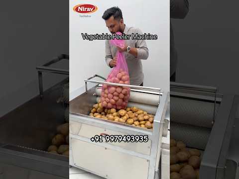 Brush Potato Washing And Peeling Machine
