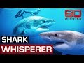 Diving in open water with monster Great White Sharks | 60 Minutes Australia