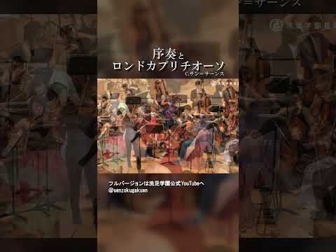 序奏とロンドカプリチオーソ 作品28