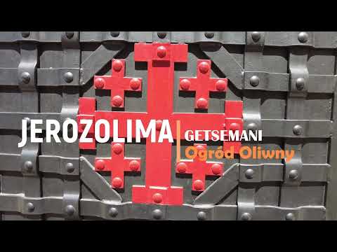 Jerozolima: Ogród Oliwny - Getsemani