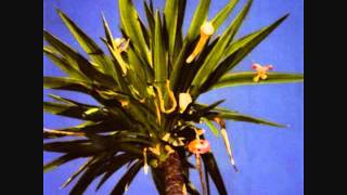 The Mountain Goats - Going to Georgia