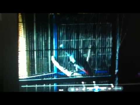 ZITTO, ZITTO PORCO DIO