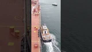 marine pilot 😎😎😎😎disembarking#ship#sailor#sailing#pilot#disembarking#panama#tamil#MRMalumi#shorts