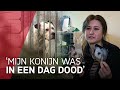 Politie onderzoekt dierenhotel Osdorp