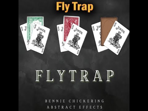 Voir la vidéo Fly Trap - Bennie Chickering