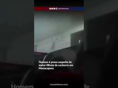 PC-AM prende suspeito de matar animal com arma branca