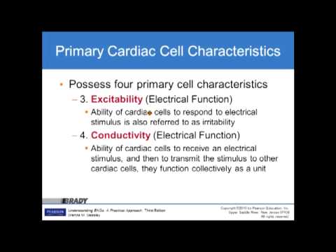 Basic EKG Chapter 3 Basic Electrophysiology