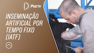 Miniatura do vídeo