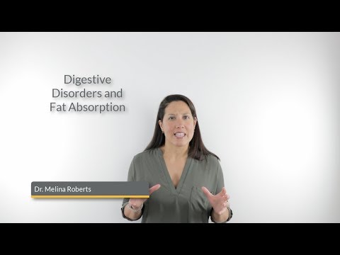 Digestive Disorders and Fat Absorption