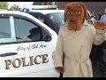 McGruff The Crime Dog Arrested For Pot Rocket Launcher