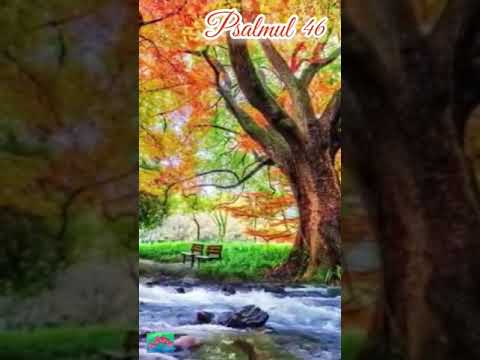 Psalmul 46 - recită Marcel Iureș