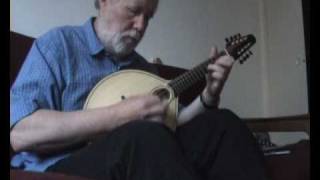 A model mandolin by NK Forster Guitars, played by Andy Seagroatt,