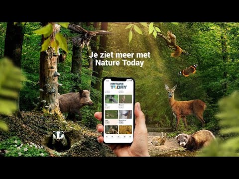 Nature Today