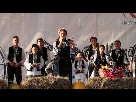 Antonia MORARU - Gata-te codrule bine