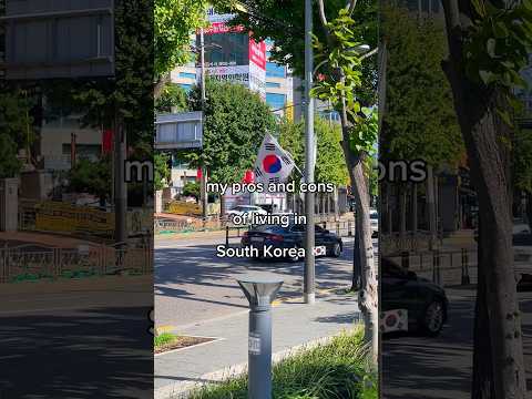 CONS of Living in South Korea 🇰🇷🏠