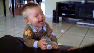 Baby Laughing Hysterically Free Online Videos Best Movies Tv Shows