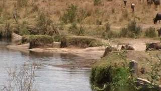 preview picture of video 'Hippos - Keekorok Lodge, Masai Mara, Kenya, part 1'