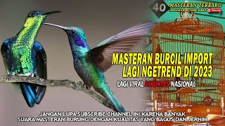 Download lagu LAGI NGETREND..!!MASTERAN BURCIL IMPOR COCOK UNTUK BURUNG MURAIBATU - SIAP' BIKIN GEGER DI GANTANGAN mp3 Download lagu LAGI NGETREND..!!MASTERAN BURCIL IMPOR COCOK UNTUK BURUNG MURAIBATU - SIAP' BIKIN GEGER DI GANTANGAN mp3