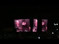 Bray Wyatt Laughing