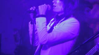 Dark Horses 'Live On Hunger' - Live at the Shacklewell Arms