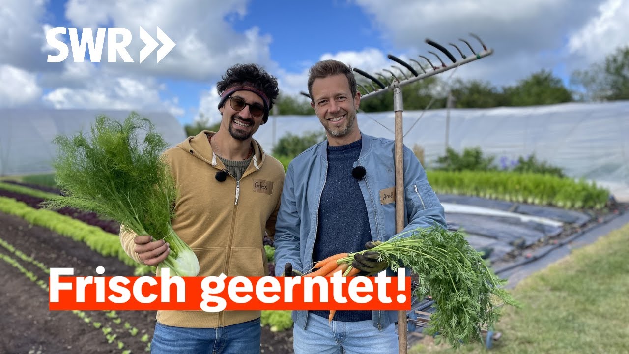 Hühner, Honig, Hochbeet – Selbstversorgung aus dem eigenen Garten | Treffpunkt