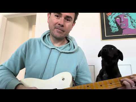 Neil Young inspired chopper Telecaster, Puppy update
