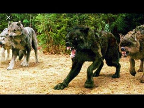 (os lobos assassino) filme de terror completo dublado em HD