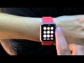 Apple Watch Demo 