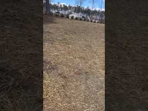Salazar A Landscaper project video