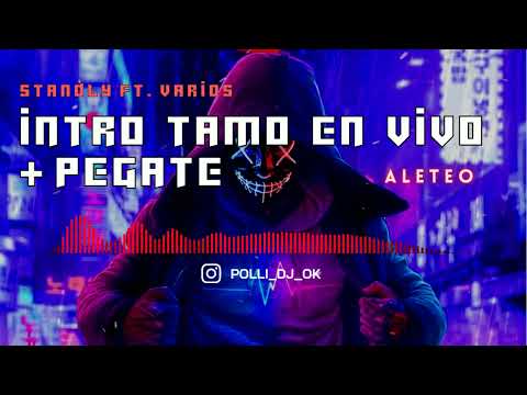 INTRO TAMO EN VIVO + PEGATE - STENDLY (ALETEO) - POLLI DJ