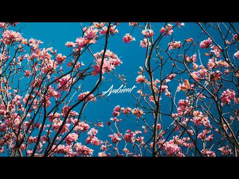 Elskavon - Spring