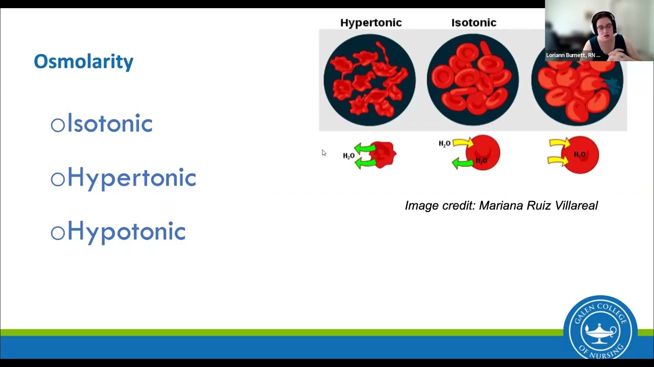 Exam 2  Fluid Balance